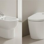 bidé vs inodoro japonés